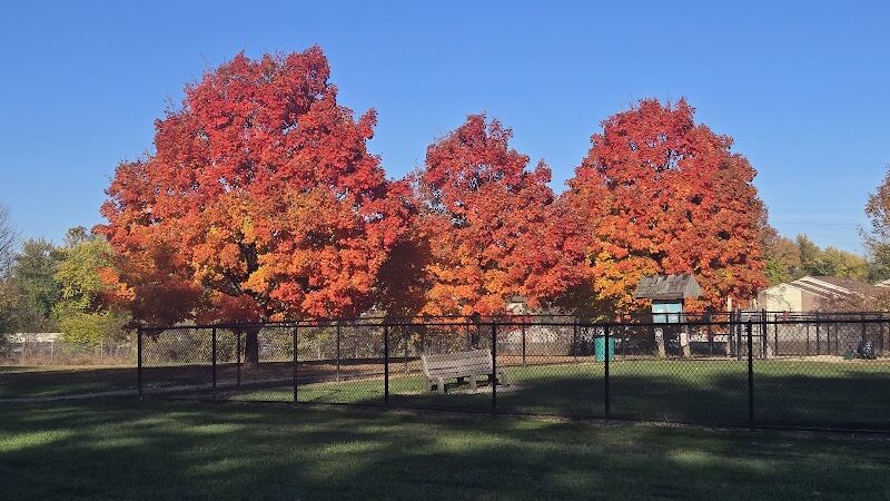 Gordon Gilmer Park (membership only) - Indianapolis, IN