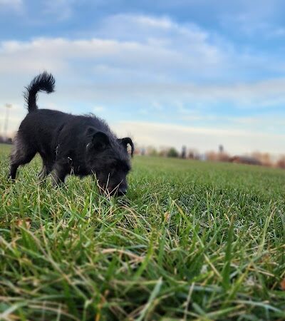 Gordon Gilmer Park (membership only) - Indianapolis, IN