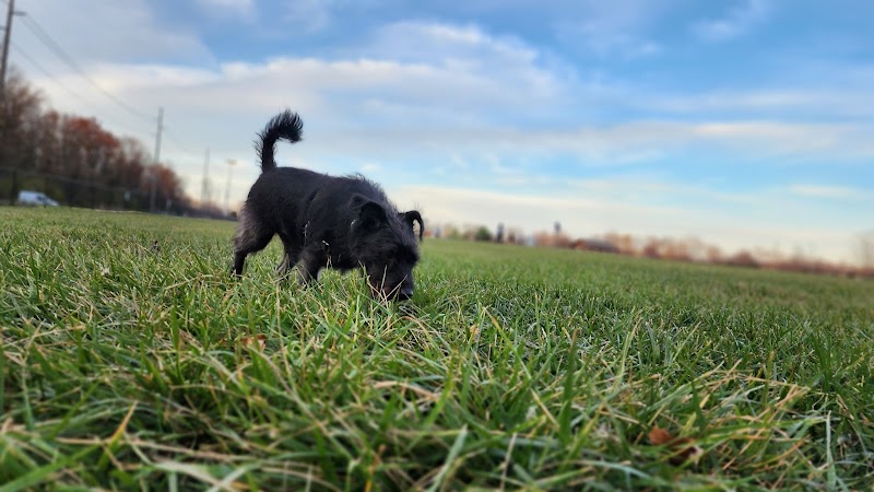 Gordon Gilmer Park (membership only) - Indianapolis, IN