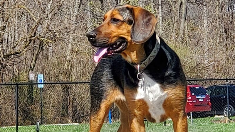 Gordon Gilmer Park (membership only) - Indianapolis, IN