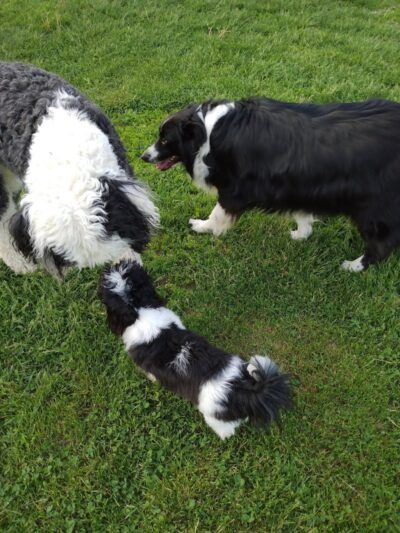 Gordon Gilmer Park (membership only) - Indianapolis, IN