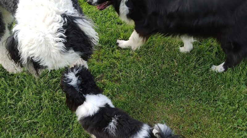 Gordon Gilmer Park (membership only) - Indianapolis, IN