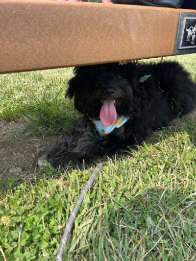 Gordon Gilmer Park (membership only) - Indianapolis, IN