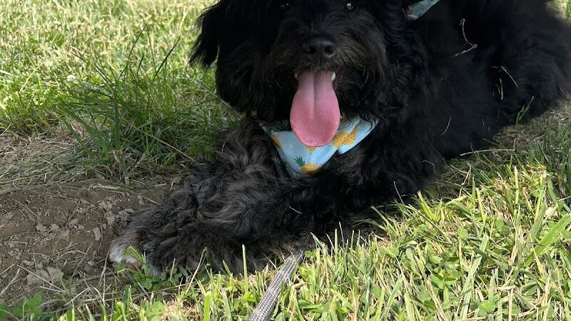 Gordon Gilmer Park (membership only) - Indianapolis, IN