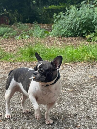 Gordon Gilmer Park (membership only) - Indianapolis, IN