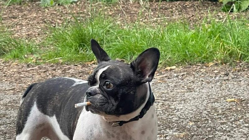 Gordon Gilmer Park (membership only) - Indianapolis, IN