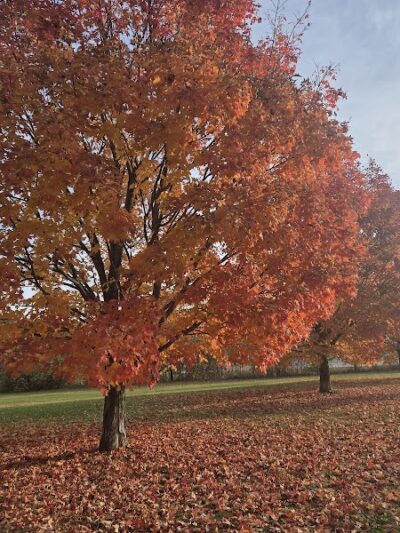 Gordon Gilmer Park (membership only) - Indianapolis, IN