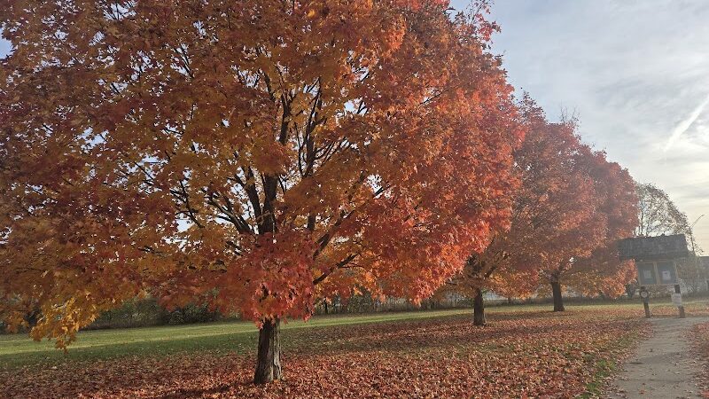 Gordon Gilmer Park (membership only) - Indianapolis, IN