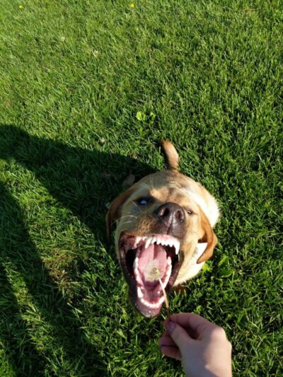 Gordon Gilmer Park (membership only) - Indianapolis, IN