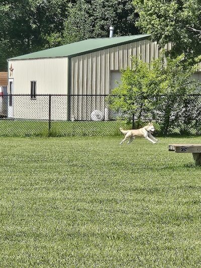 Smock Bark Park - Indianapolis, IN