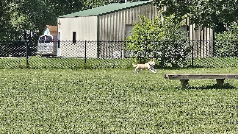 Smock Bark Park - Indianapolis, IN