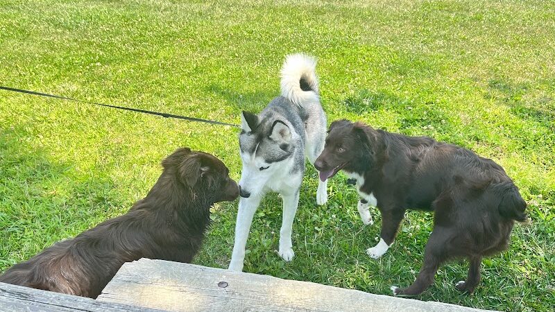 Smock Bark Park - Indianapolis, IN