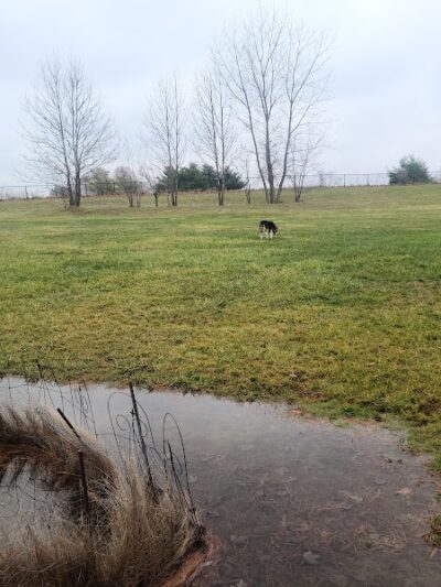 Smock Bark Park - Indianapolis, IN