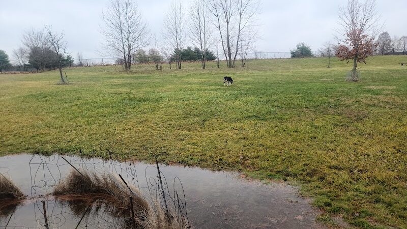 Smock Bark Park - Indianapolis, IN