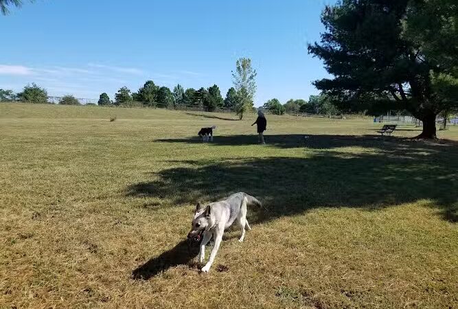 Smock Bark Park - Indianapolis, IN