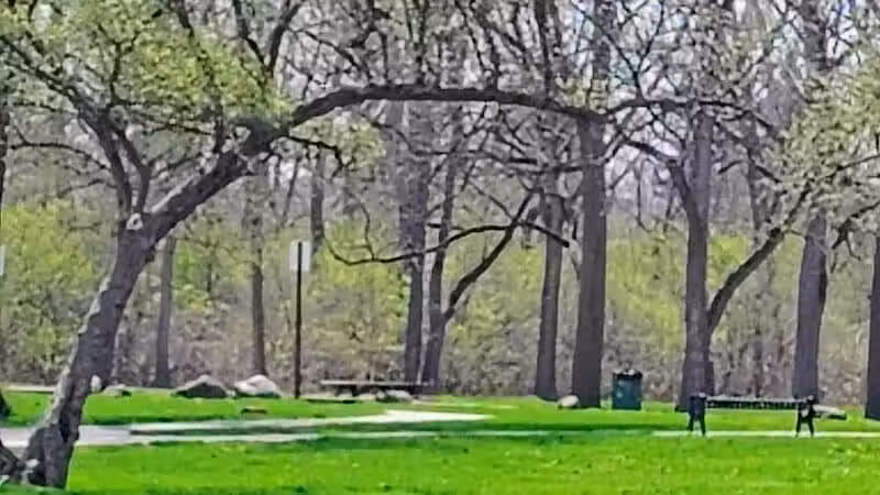 Colonial Park - Inkster,