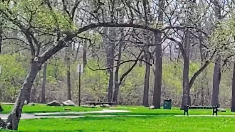 Colonial Park - Inkster,