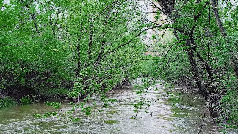 Colonial Park - Inkster,