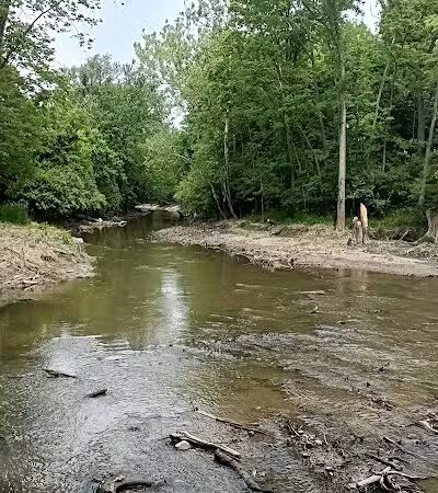 Inkster Park - Inkster,