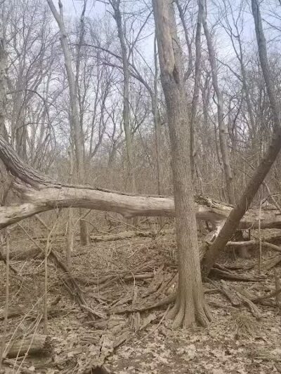 Inkster Park - Inkster,