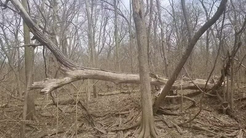 Inkster Park - Inkster,