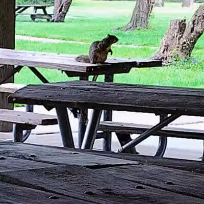 Inkster Park - Inkster,