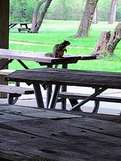 Inkster Park - Inkster,