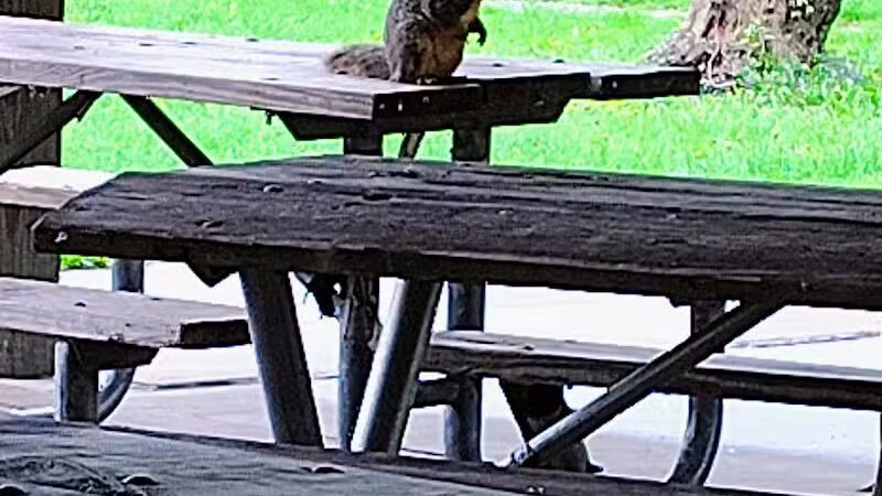 Inkster Park - Inkster,