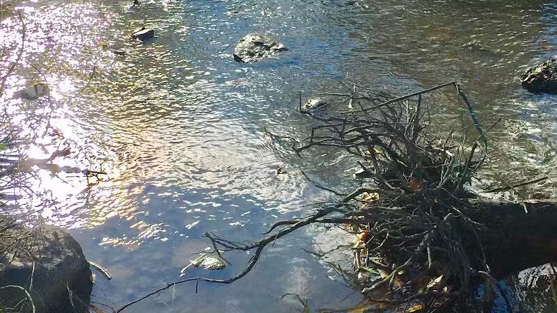 Inkster Park - Inkster,