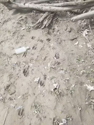 Inkster Park - Inkster,