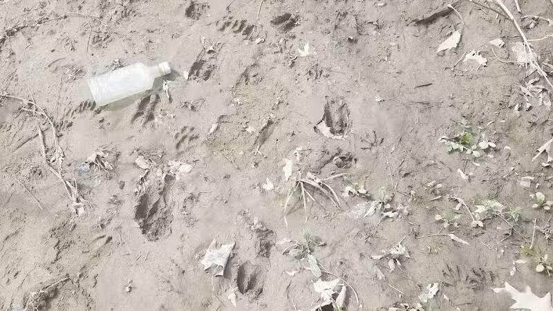 Inkster Park - Inkster,