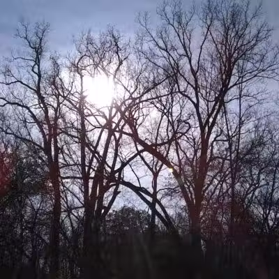 Lower Rouge Valley - Inkster,