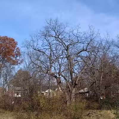 Lower Rouge Valley - Inkster,