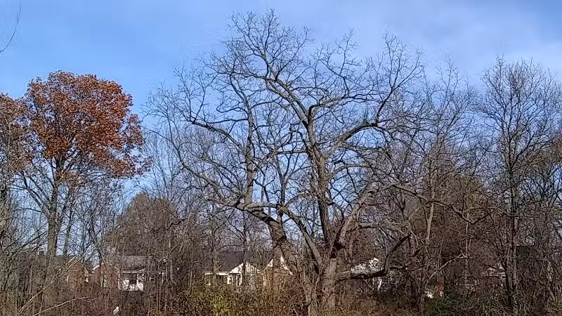 Lower Rouge Valley - Inkster,
