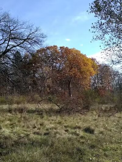 Lower Rouge Valley - Inkster,