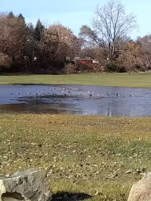 Colonial Park - Inkster,