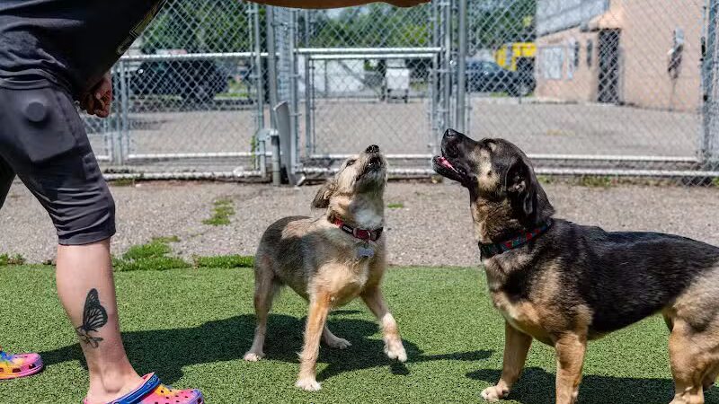 Pet Suite Retreat - Inkster,