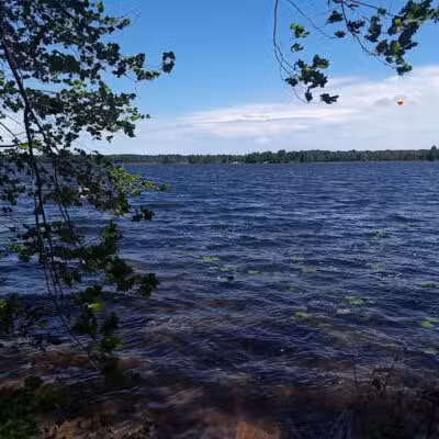 Lost Lake Trailhead - Interlochen,