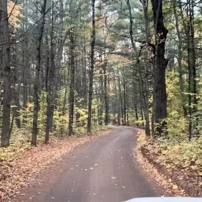 Lost Lake Trailhead - Interlochen,