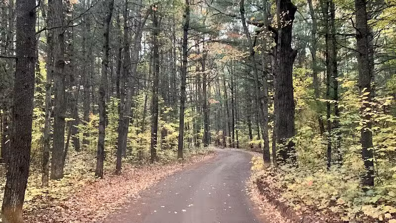 Lost Lake Trailhead - Interlochen,