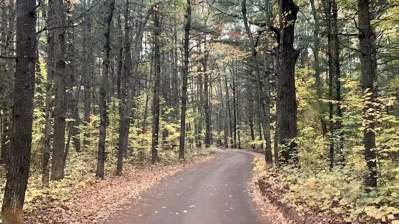 Lost Lake Trailhead - Interlochen,