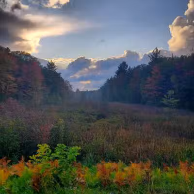 Lost Lake Trailhead - Interlochen,