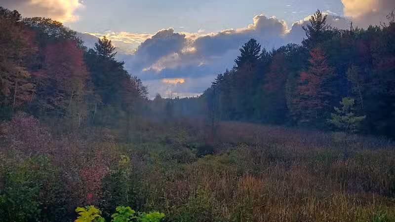 Lost Lake Trailhead - Interlochen,