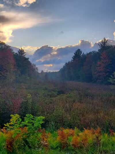 Lost Lake Trailhead - Interlochen,