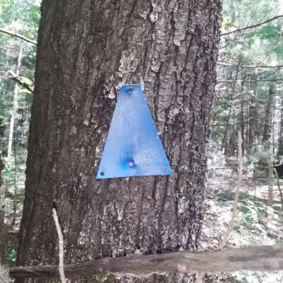 Lost Lake Trailhead - Interlochen,