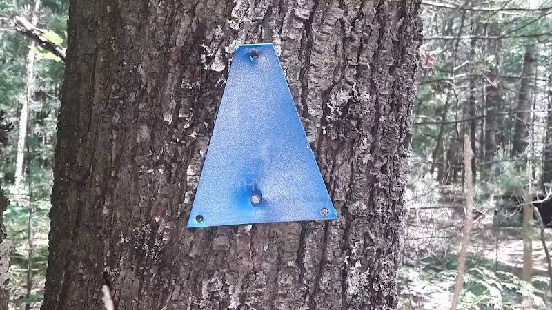 Lost Lake Trailhead - Interlochen,