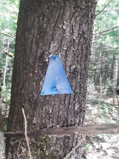 Lost Lake Trailhead - Interlochen,