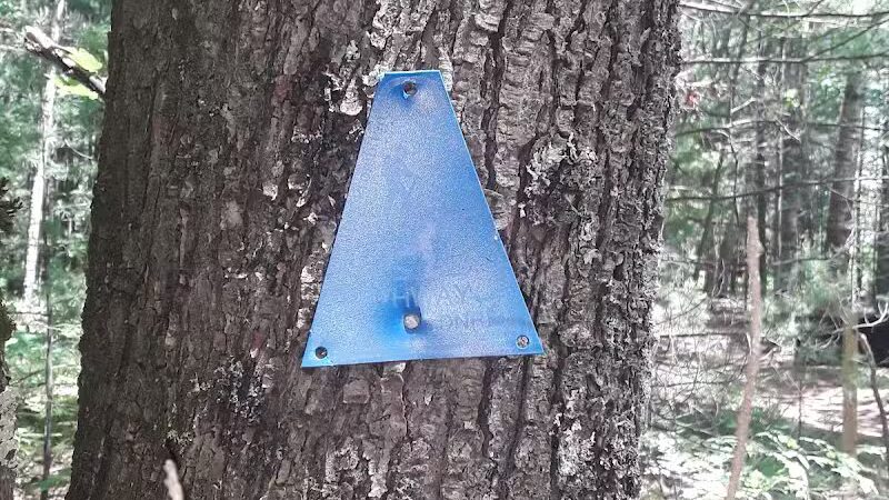Lost Lake Trailhead - Interlochen,