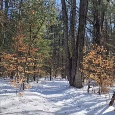Lost Lake Trailhead - Interlochen,