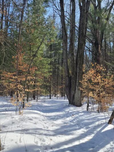 Lost Lake Trailhead - Interlochen,